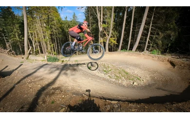 Bikepark Kurse und Camps im Bikepark Willingen mit der Bike Therapy-Freeride Strecke.jpeg