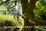 Zwei Biker auf ihrer Tour durch den Wald