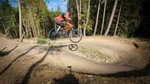 Bikepark Kurse und Camps im Bikepark Willingen mit der Bike Therapy-Freeride Strecke.jpeg