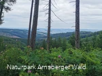 Der Blick vom Ochsenkopf in Richtung Arnsberg